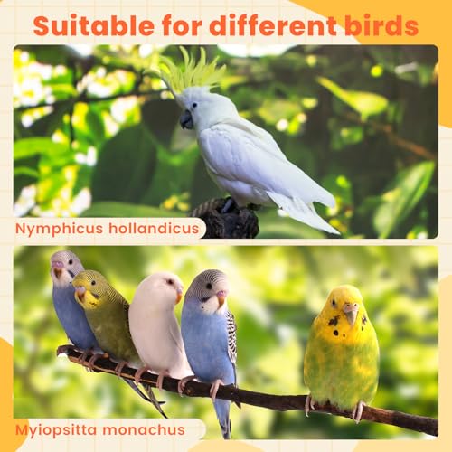 4 Pcs Bird Diaper, Parrot Diaper, Reusable Bird Clothes with Adjustable Straps & Waterproof Inner, Pet Bird Diapers for Budgies, Lovebirds, Cockatiels, and Miniature Macaws