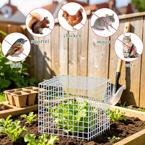 4Set 12"x12" Plant Protectors from Animals, All-Metal Plant Cage with Cover | Hot-Dip Galvanized Metal Wire, Heavy-duty Animal Barrier to Keep Rabbits, Birds Out of Tomato Flower