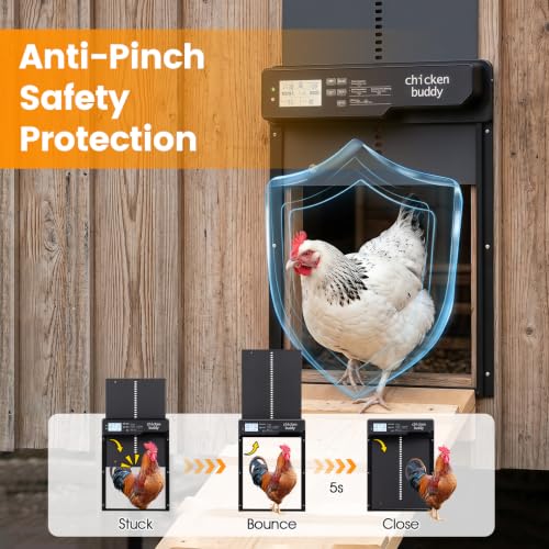 PETSITE Solar Powered Automatic Chicken Coop Door, Along with USB Charging | | LCD Display | Light Sensor, Timer, Remote & Manual Control | Anti-Pinch Design | Waterproof | Made of Aluminum |