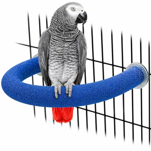 Rypet U-Shaped Large Parrot Perch, Quartz Bird Perch for Cage(Blue L) | Safe Chew & Rest Perch for Large Birds, Durable Non-Toxic Cage Accessory, for Parakeets Cockatiels Conures Macaws - color: Blue, size: Large