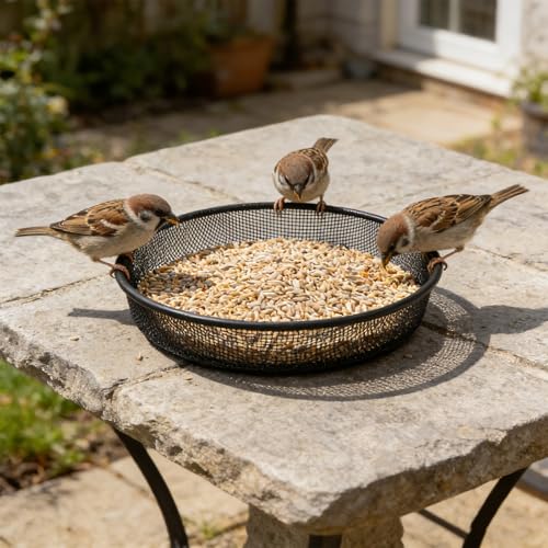 2 Pcs Ground Bird Feeder, Metal Mesh Round Birds Seed Feeder Tray ﻿ | Mesh Tray Outdoor Accessory