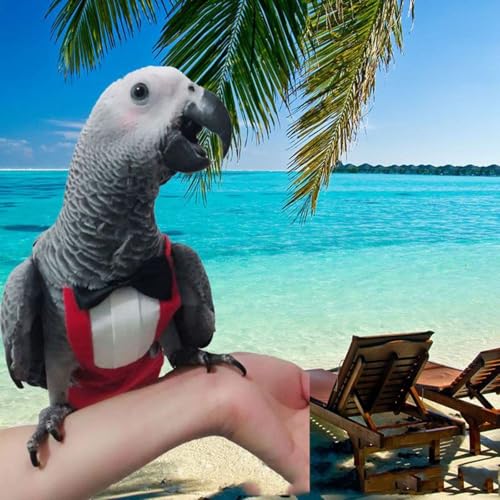 QBLEEV 2 Pack Bird Diapers, Reusable Cockatiel Tuxedo Flight Suite Costume | Parrot nappy clothes for wedding party birthday cosplay photo, pigeon pants urine wet suit for conure macaw budgies parakeet - size: L