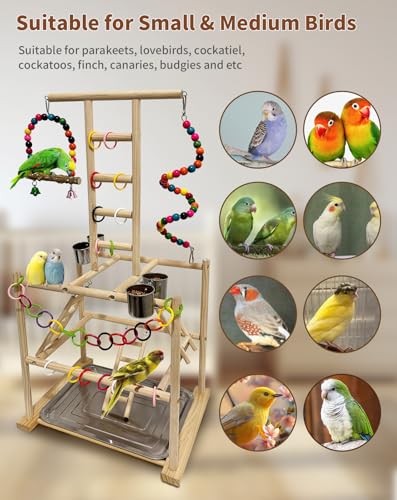 Bird Play Stand, Large Parakeet Playground, Natural Wood Parrot Perch Stand, Birds Play Gym Cockatoos Cage Accessories with Feeder Cups Swings for Cockatiel Budgie Conure