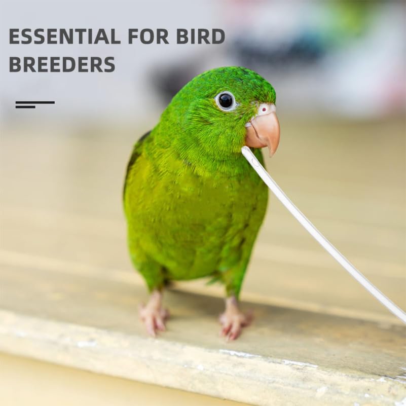 UPKOCH 100pcs Soft Feeding Tubes for Baby Birds Parrot Hand Feeder Supply Food Feeder Hose for Cockatiels and Small Parrots
