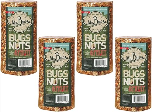 Mr. Bird Bugs, Nuts & Fruit Cylinder, 4-Pack, 1 lb 8 oz | Wild Bird Seed For Outside Feeder | Premium Blend of Mealworms, Sunflower Hearts & Cranberries | No Mess, No Melt - size: 1.5 Pound (Pack of 4)