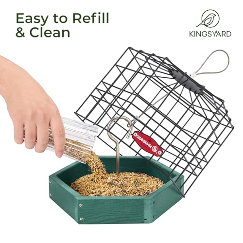 Kingsyard Squirrel Proof Platform Bird Feeder | Metal Mesh Tray, Recycled Poly Lumber Feeder, Great for Small Wildbirds Finches Bluebird Mealworm, Green - color: Green