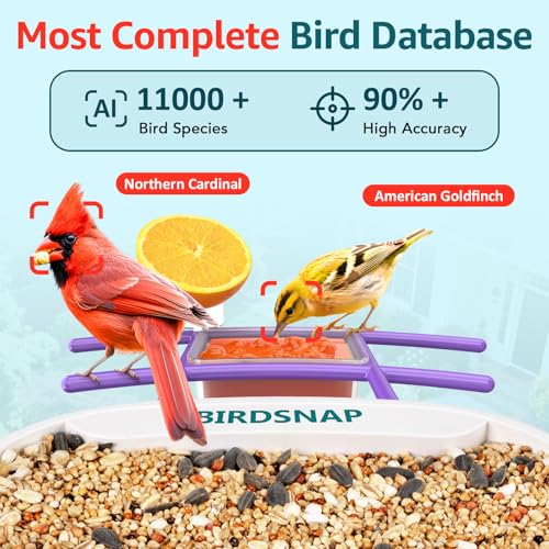 birdsnap® TUC Bird Feeder with Camera Solar Powered 2K Video with 32GB Card | AI Bird Species Identification, Squirrel-Proof, IP65 Waterproof, Outdoor Wireless, 2.4G WiFi, Gift for Mom Dad Bird Lovers - color: Purple