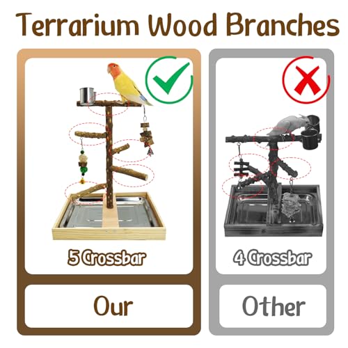 Tfwadmx Bird Perch Natural Wood Stand Toy Parrot Play Stand Platform Bird Cage with Removable Tray and 2 Stainless Steel Cups for Parakeets Canaries Cockatiels Conure Lovebirds