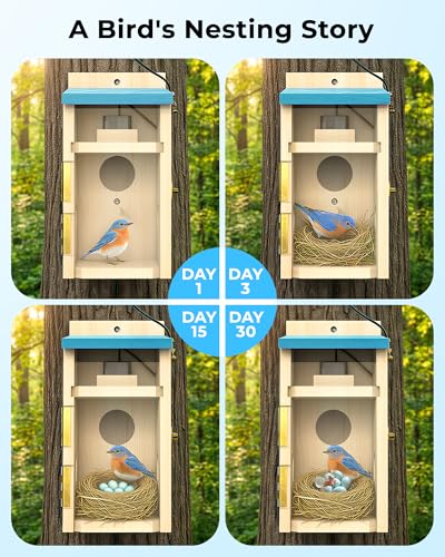 Bluebird House with Camera,Bird House with Camera Solar Powered | Motion Detect & Night Vision,App Control,Wi-Fi Bird Watching for Backyard Nesting,Camera Bird House,Smart Bird House,Blue - color: Light Blue