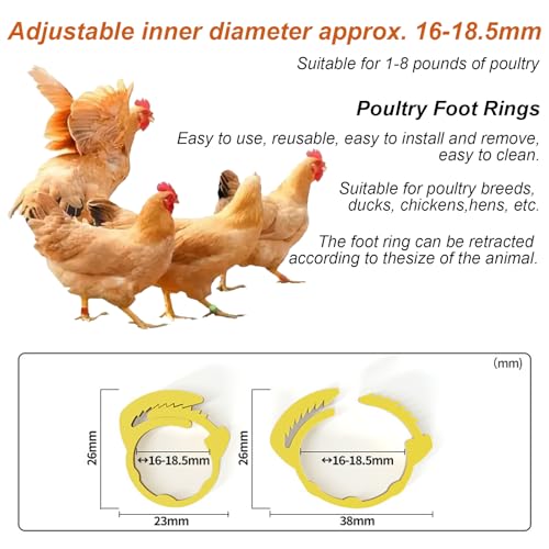 16mm 100 Pcs Adjustable Poultry Leg Bands,Chicken Leg Rings,Duck Leg Bands,5 Colors Laser Engraved Clip Rings for Large Poultry Chicken,Duck,Turkey,Goose Gamefowl Turkey