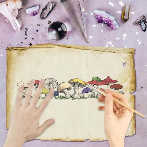 CRASPIRE Mushroom Clear Stamps Plant Frog Reusable Retro Transparent Silicone Stamp Seals for Journaling Card Making DIY Scrapbooking Photo Album Decorative - style: Mushroom Rubber Stamps-0204
