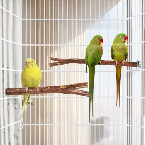 Niteangel Natural Wooden Perches for Bird Cages - Ideal for Cockatiels, Parakeets, Finches & Other Caged Birds (No-Bark, 2 Pack) - color: No-Bark
