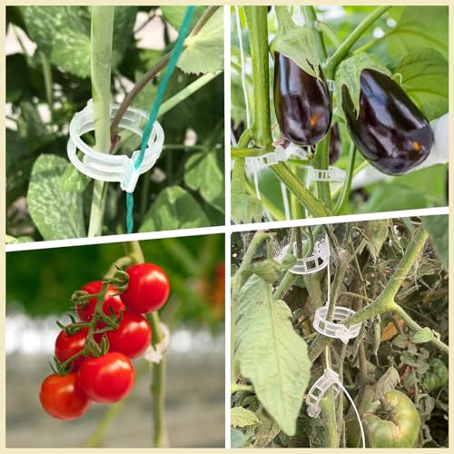 Dalzom® 300Pcs Tomato Clips, Plastic Trellis Clips Plant Support Clips, Plant Clips for Support, Grape Vine, Tomato Vine, Vegetables Plants, Garden Clips to Grow Upright Makes Plants Healthier (Green) - color: Green
