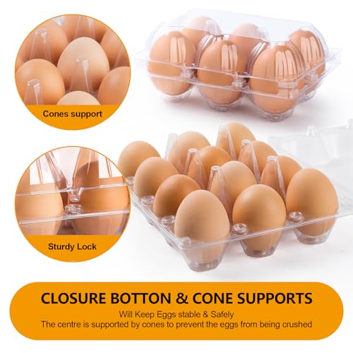 180 Pack Plastic Egg Cartons Cheap Bulk 6 Count, Clear Egg Trays 2x3 Grids | Bulk Egg Carton Fits Small to M Chicken Eggs, Reusable Egg Holder/Container for Family, Chicken Farm and Markets - size: 180P2×3