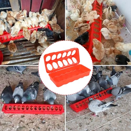 10 Set Flip Top Poultry Feeder, Flip Top Chick Feeder Plastic Quail Small Poultry Feeding Tray 12 Trough Dish Dispenser for Chicken Duck