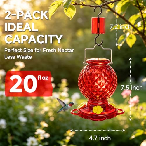 Hummingbird Feeder Glass 20 OZ 2-Pack Round Ant&Bee Proof Feeders | Red Glass Hummingbird Feeders for Outdoors Hanging with 4 Feeding Ports, Rustproof Leakproof Base, Garden Yard Décor Gifts