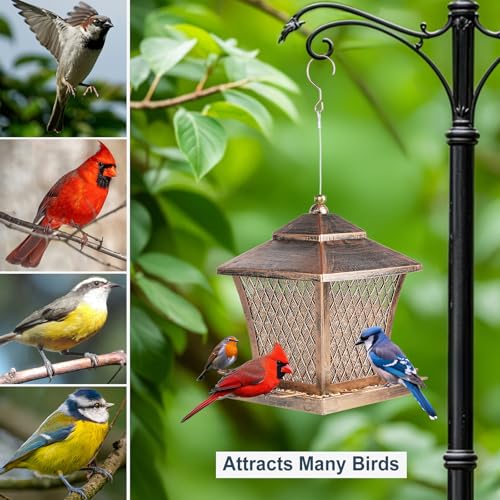 Bird Feeder Outdoors Hanging, 4 lbs Large Capacity Metal Wild Bird Feeders | Vintage Bronze Finish Rust-Resistant Birdfeeder for Garden Yard Balcony Decor, Easy Fill, Thickened