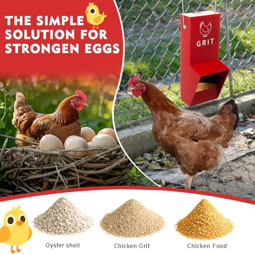 Leinuosen 2 Pack Metal Chicken Oyster Shell and Grit Feeder with Lid and Hook Hanging Mountable Chicken Feeder Trough Automatic Gravity Poultry Coop Accessories Water Dispenser for Chicks, Ducks, Hens