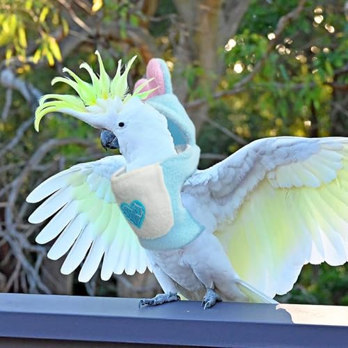 Love Bellyband Rabbit Ears Pet Bird Costume, Cozy Cute Cosplay Photo Prop Clothes Parrots Flight Suit, Bird Hoodie for African Greys Monk Parakeet Cockatiel, M, 1 Piece - size: M