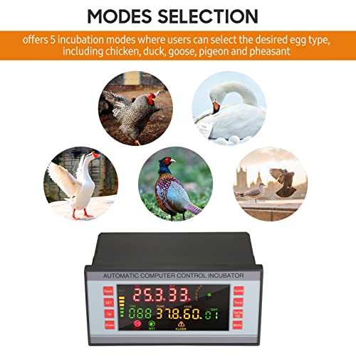 Automatic Egg Incubator 160V-220V 50Hz, Digital LED Display with Humidity Control & Auto Egg Turner for Chicken Duck Quail Eggs, Hatching Machine for Poultry Breeding