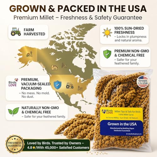 Birds LOVE® Millet Tips & Tails for Birds – Premium Spray Millet Treat, Grown in the USA – Natural & Healthy Bird Food for Parakeets, Cockatiels, Budgies, Lovebirds, Finches, Canaries & Parrots – 1 lb
