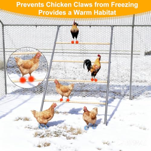 Chicken Perch for Coops Chicken Roosting Bars Poultry Roost Stand | Chicken Run Ladder Galvanized Iron Frame with 4-Tier Solid Wood 42''x 54.5'' for 10/12 Chickens Easy Assembly Outdoor Use - color: Silver, size: 55.0"L x 40.5"W x 1.0"H