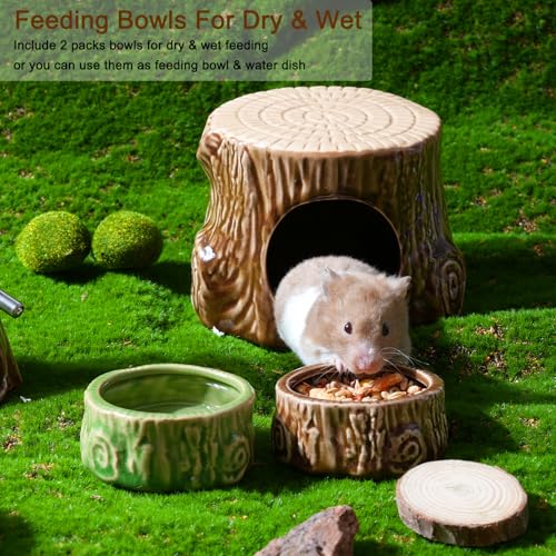 2 Pack Ceramic Hamster Food Bowl Anti-Tip Chew-Proof Water Dish | Tree Shape Bowl Easy to Clean & Heavy Duty Feeding Drinking Guinea Pig Bowl for Syrian Gerbil Mouse Chinchilla Hedgehog