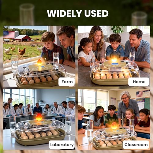 Incubators for Hatching Eggs,24 Eggs Capacity with Automatic Turning, Accurate Temp & Humidity Control, Egg Candler, Air Vent, 360° Viewing for Chicken, Duck, Quail & Goose Eggs