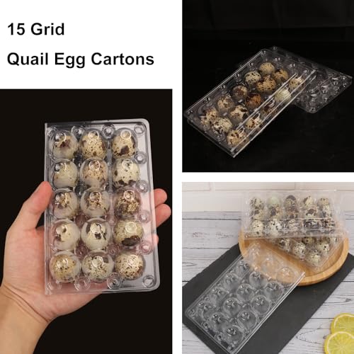 200 Pack Quail Egg Cartons, Clear Plastic Quail Egg Trays, Holds up to 15 Quail Eggs Securely - Your Ultimate Small Eggs Carton Holders for Bulk Storage and Display - size: 15 Grids