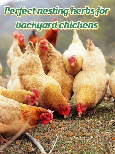 Chicken Nesting Herbs for Outdoor Indoor Chicken Coop - 20OZ Natural Egg-Laying Box Feed Herbs for Freshening Bedding Promote Egg Production - size: 20oz