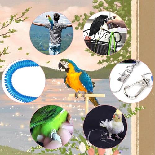 Bird Leash, Anti-Bite Parrot Harness Retractable Bird Flying Rope with 3Pcs Different Sizes of Foot Rings, Elastic String Training Harness Parrot Flight Rope (Blue, 118 Inches) - color: Blue, size: 118 Inches