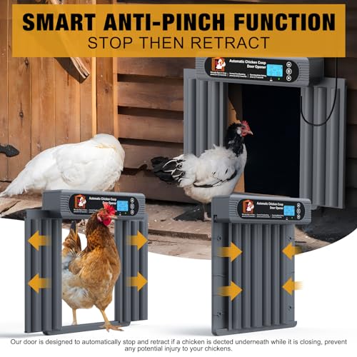 Automatic Chicken Coop Door, Extra Large Size, Anti-Pinch Design,Programmable Timer & Light Sensor Modes, Large LCD Display, Solar Powered Auto Chicken Door Opener with Remote Control（50-100m）