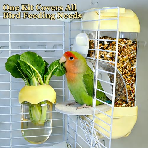 Automatic Bird Cage Feeder No Mess Bird Feeding Station Parrot Vegetable Holder Fruit Clips for Parakeet Cockatoo Canary Lovebirds Budgie (Yellow) - color: Yellow