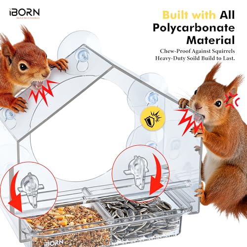 Window Bird Feeder, Wind-Proof Tray Lock, Chew-Resistant PC, Clear 1 PK | 5 Suction Cups, Sliding Tray, Extra Perch Ring, Weather-Resistant, Easy to clean, Durable for Outdoor