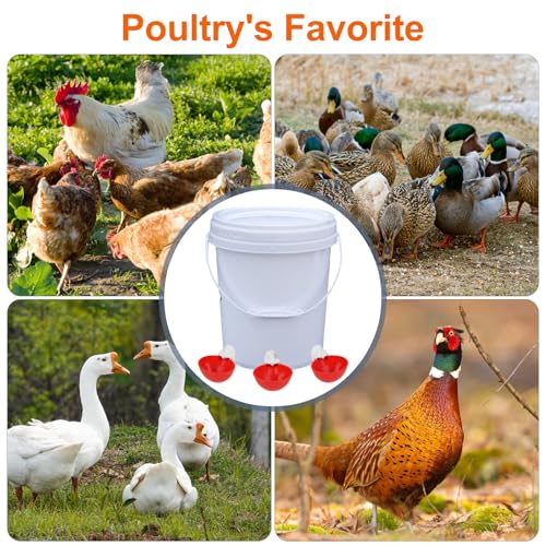 Automatic Chicken Waterer Cups, 6 Pack Large Chicken Water Feeder | Chicken Water Cups, Poultry Waterer Great for Duck, Chicken, Goose, Turkey, Bunny and Bird with Installing Drill