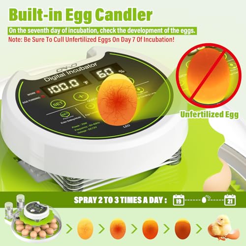 Egg Incubator with Automatic Egg Turning and Humidity Control, Chicken Incubators for Hatching Eggs, Holds 18 Eggs Encabulator for Chicken, Suitable for Hatching Chickens, Quails, Ducks,Parrots,Geese