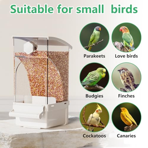 Hamiledyi 2Pcs Automatic Birds Feeder No Mess Bird Cage Feeder Transparent Acrylic Parrot Seed Food Container with Perch Bird Cage Accessories for Parakeet Finch Lovebirds Budgies Canary (White) - color: White Feeder - 2 PCS