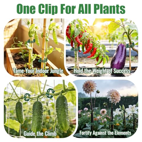 300Pcs Thickened Tomato Clips, Plant Support Clips Plastic Trellis Clips | Plant Clips for Grape Vine, Tomato Vine, Vegetable Plants, to Grow Upright Makes Plants Healthier, Green - color: Green
