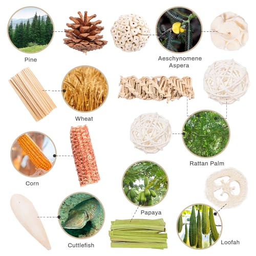 40 Pcs Bird Parrot Toys, Natural Bird Foraging Toy for Cockatiels, Lovebirds, Budgies, Small to Medium Parrot