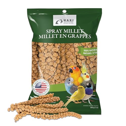 Living World – Millet Spray for Birds,7 Oz – Premium Treat for Budgies,Canaries,Finches,Cockatiels and Other Pet Birds,(Pack of 2) - size: 7 Ounce (Pack of 2)