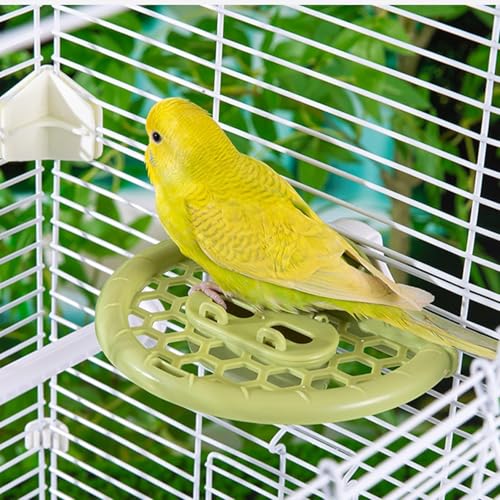 septillar Bird Mirror with Perch Stand, Bird Toys for Parakeet Cockatiel Conure Lovebirds Finch Canaries (Green) - color: Green
