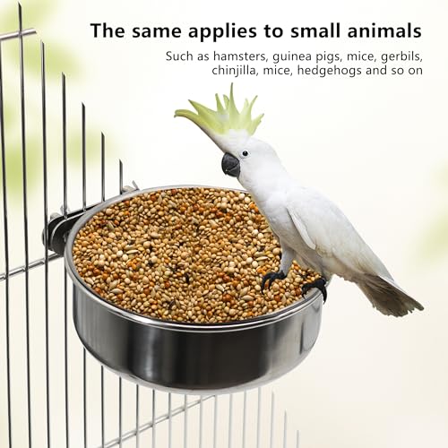 Large Bird Feeding Dish Cups with Clamp Holder, 1 Pack | Stainless Steel, Parrot Food Bowl Cage, For Cockatiel Parakeet Macaw Finches Lovebirds, Birdcage Coop Water Feeder - color: 1 Pack, size: Large