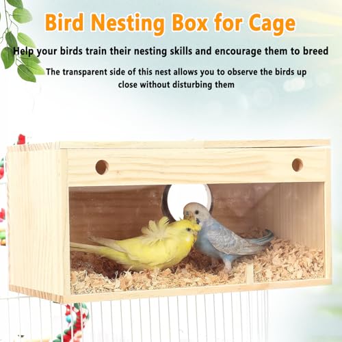 kathson Parakeet Nesting Box,Transparent Parrots Breeding Mating Boxes Nest House,Bird Cage Nesting Box for Cockatiel,Budgie,Lovebirds,Conure,Finch,Canary,M - size: M: 9.8*4.7*4.9 inches
