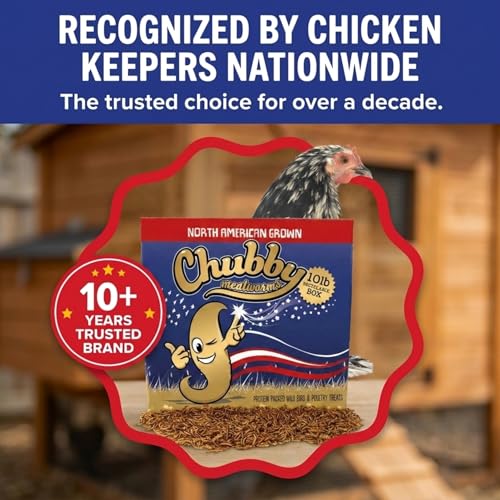 Chubby North American Grown Dried Mealworms | 10 lbs | Non-GMO High-Protein Treats for Chickens, Ducks & Wild Birds – Sustainable Chicken Feed - size: 10Lbs