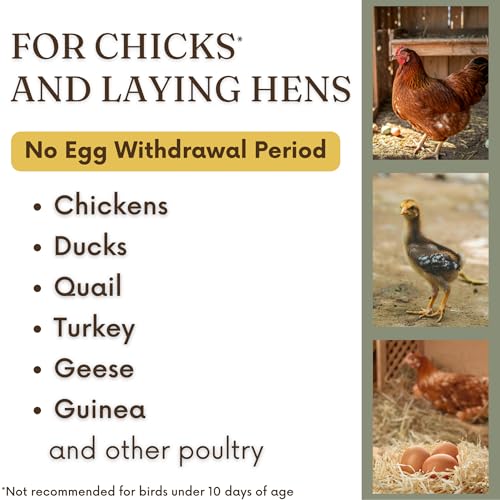 Poultry Chicken & Coop Spray 32 oz | Kills Mites, Fleas, Lice & Ticks | Clove & Cottonseed Essential Oils | Use on Chicks* & Laying Hens | No Egg Withdrawal | Made in USA