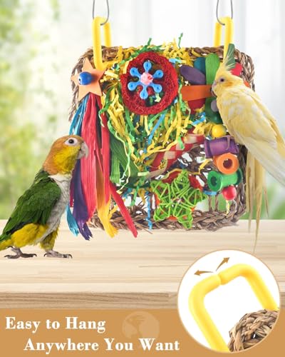 ERKOON Cockatiel Toys, Budgie Toys Foraging Toy Hanging Bird Toy for Lovebrid Parakeets Conures Parrot Foraging Wall with Colorful for Birds Shredding Seagrass, Birds Cage Accessories-2 Pack - size: Large grass mat-2 Pack