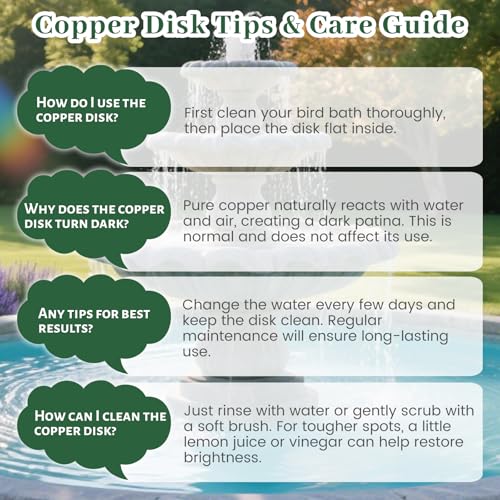 Bird Bath Copper Disk, 4 Inch, 99.9% Pure Copper, 1 Pack | 0.6mm Thick, 99.9% Pure Copper with Triple-Point Support, Fits Most Bird Baths, Bowls and Outdoor Water Features