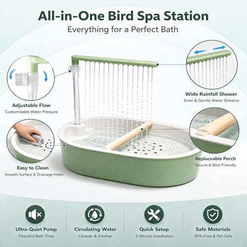 Indoor Bird Bath Fountain, Dual Rainfall Parrot Shower with Anti-Clog Pump & Filter Sponge, Adjustable Water Flow, Natural Beech Wood Perch, Bird Shower Spa for Parakeet, Cockatiel, Lovebird