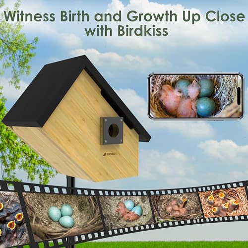 Smart Bird Houses for Outside Solar Powered, 1080P HD Live View Birdhouse with Camera, Perfect Viewing Bird Nesting and Hatching, Ideal Outdoors Bird House for Blue Bird and Cardinal (Black) - color: Black