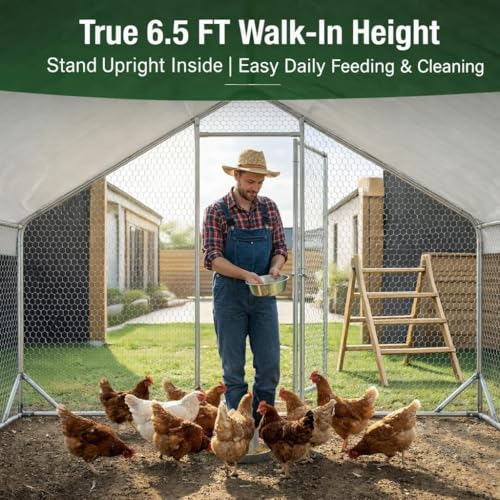 Walk-in Metal Chicken Coop 10x6.6 for 1-10 Chicken, Heavy Duty Poultry Cage | Elevated Roosting Perch, Predator-Proof Hex Mesh, Waterproof UV Cover, Reinforced Steel Frame, Walk-In Run - size: 118.0"L x 80.0"W x 80.7"H